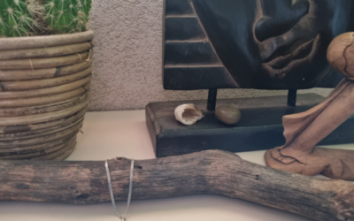 Van ‘leer er maar mee leven’ naar voluit leven