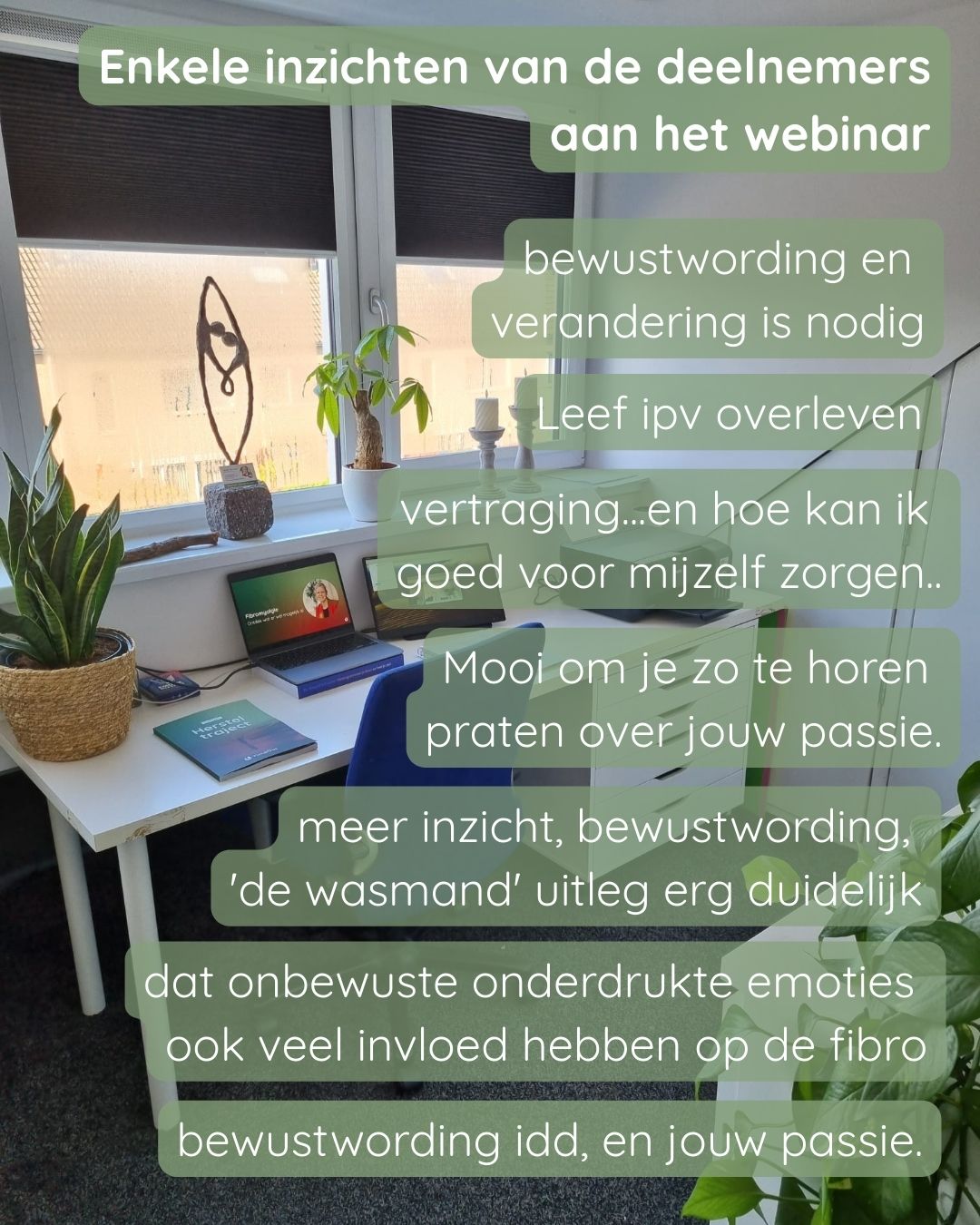 Webinar inzichten